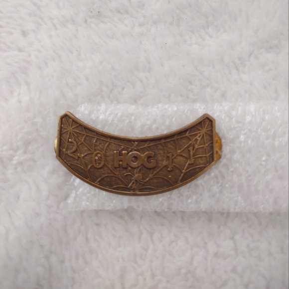 Harley-Davidson Other - Harley Davidson 2011 HOG Lettered Pin Spider‎ & Web Background Gold Tone